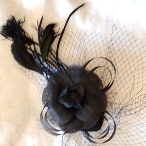 What a Beautiful Fascinator Just Arrived